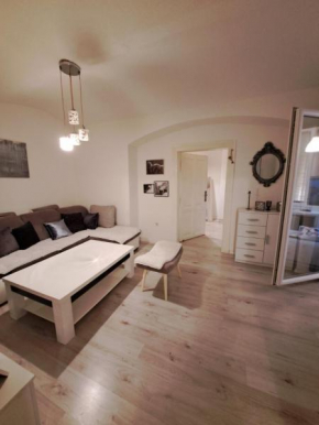 Apartment Skenderija Pet friendly with garden